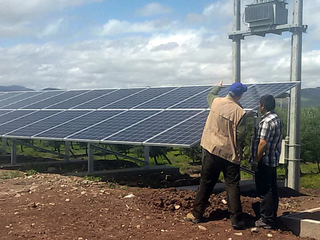 Granja Solar – Olivos Olimpo