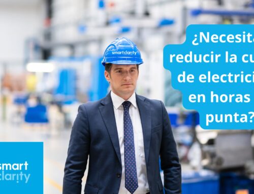 Facturación del Consumo de Energia Electrica – Horario de Punta 2025